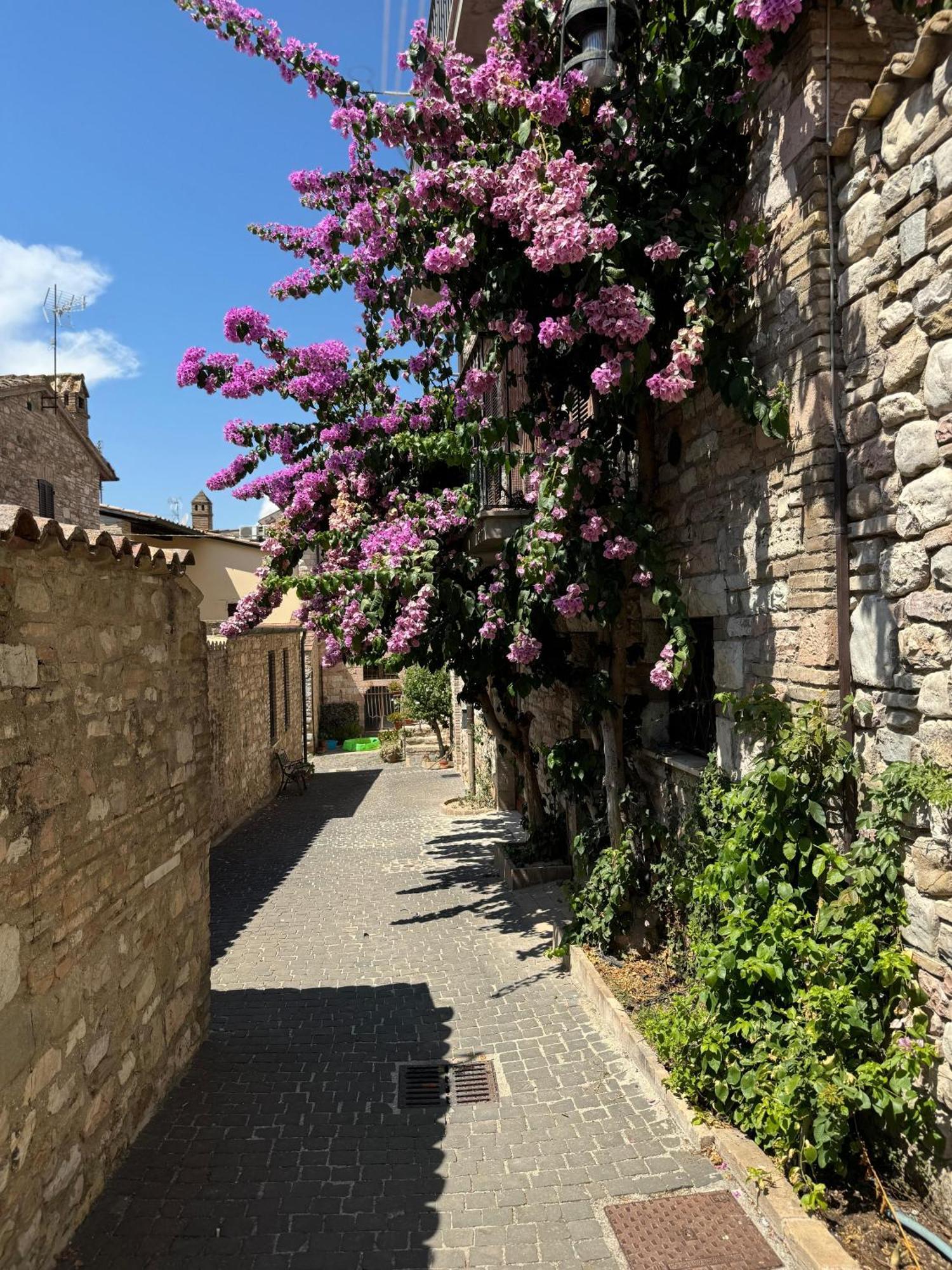 La Bouganville Assisi Exterior photo